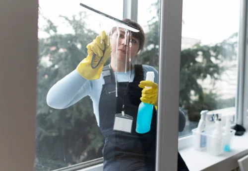 Nettoyage de vitres intérieures et extérieures à Bessay